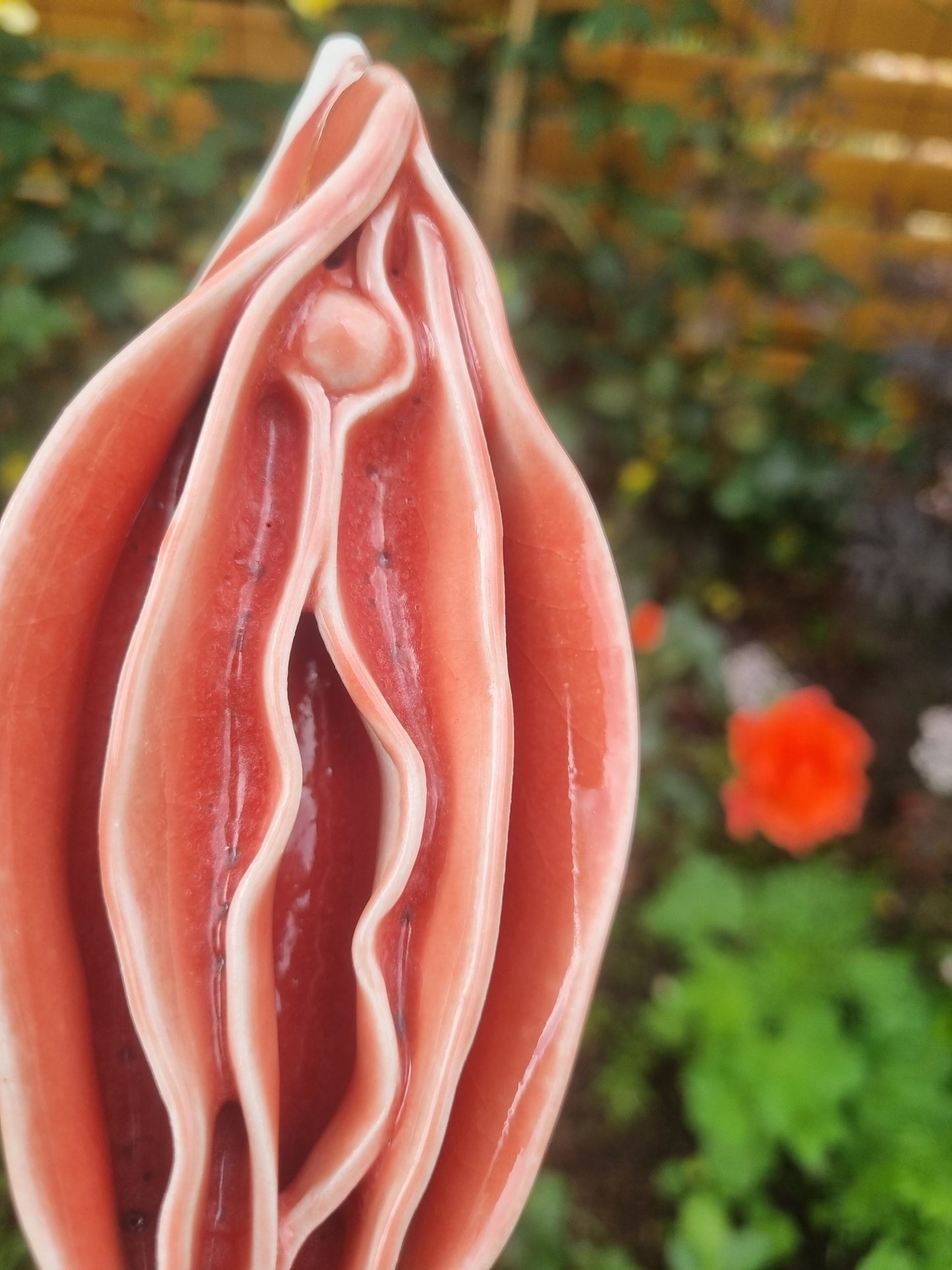 Peachy keramikkusse