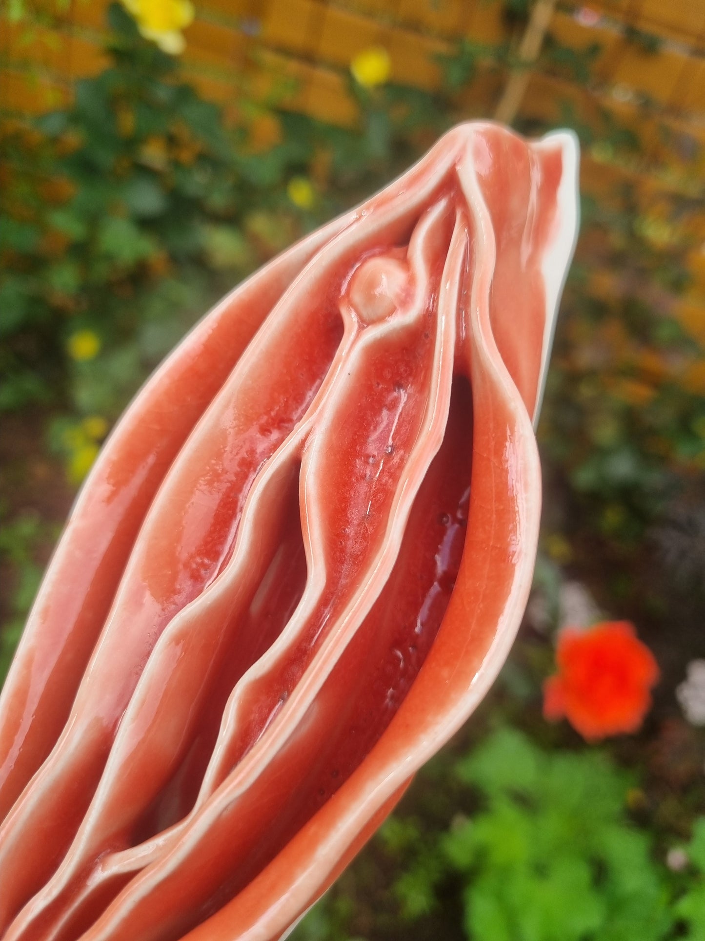 Peachy keramikkusse