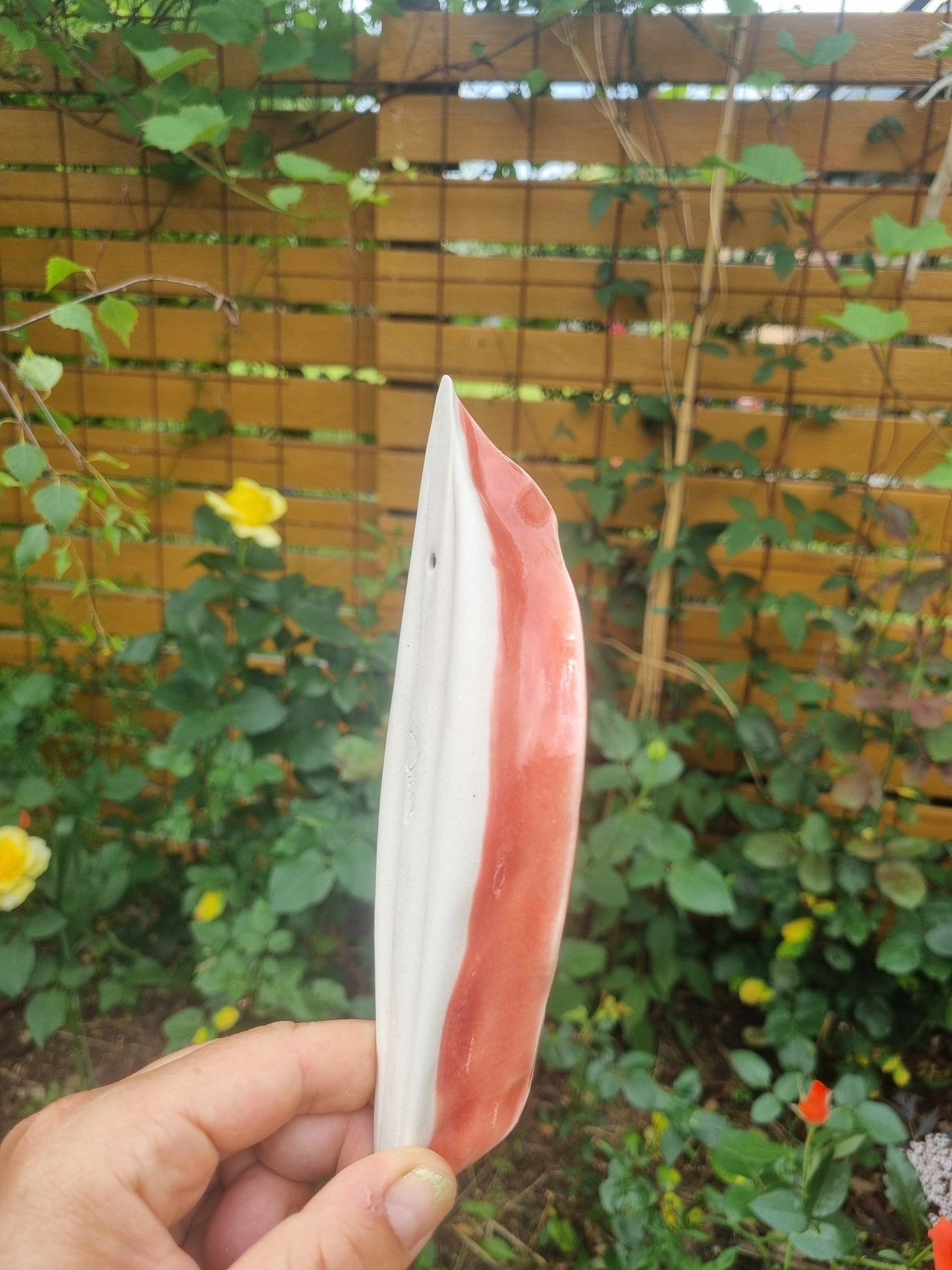 Peachy keramikkusse