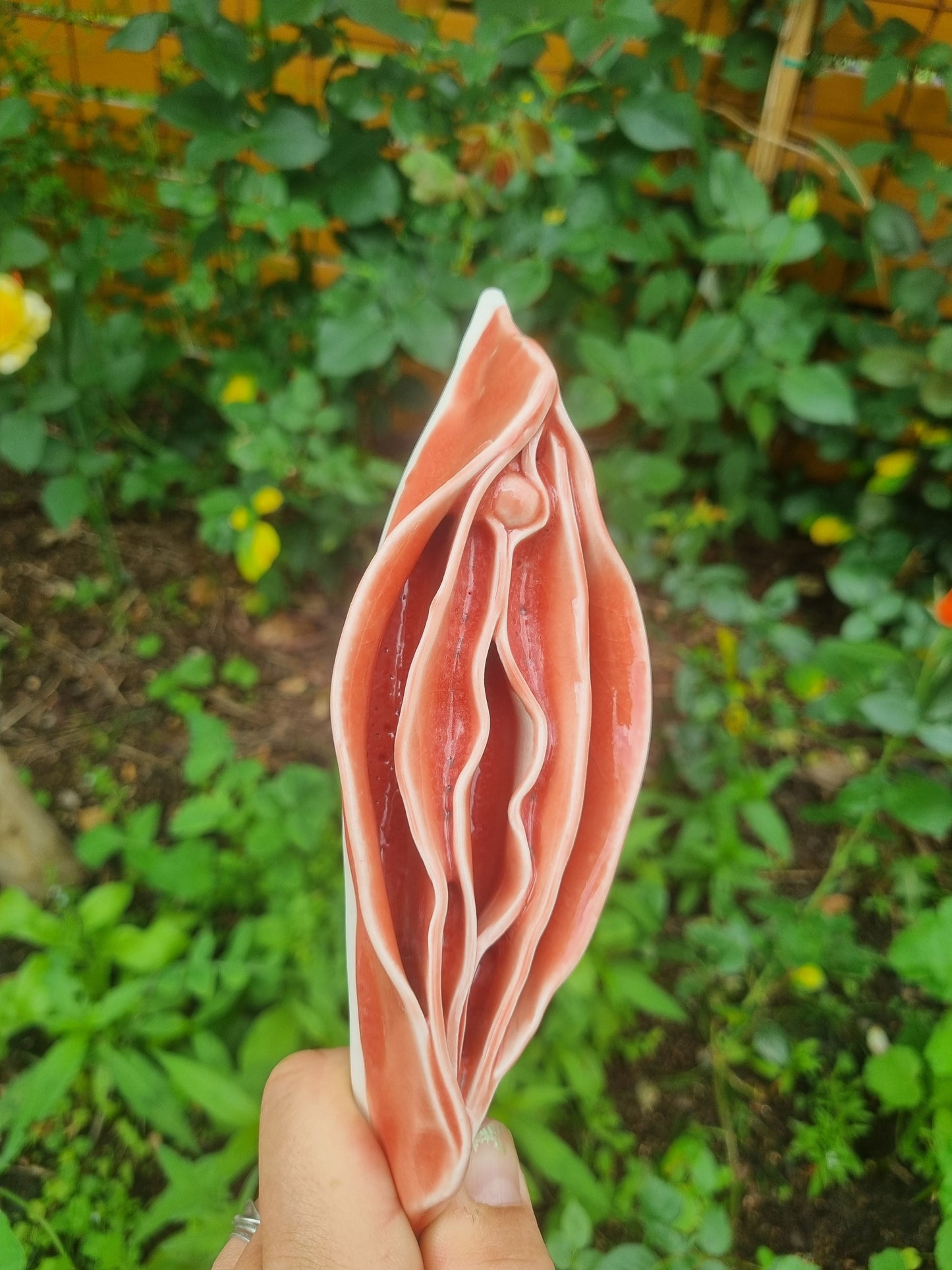 Peachy keramikkusse