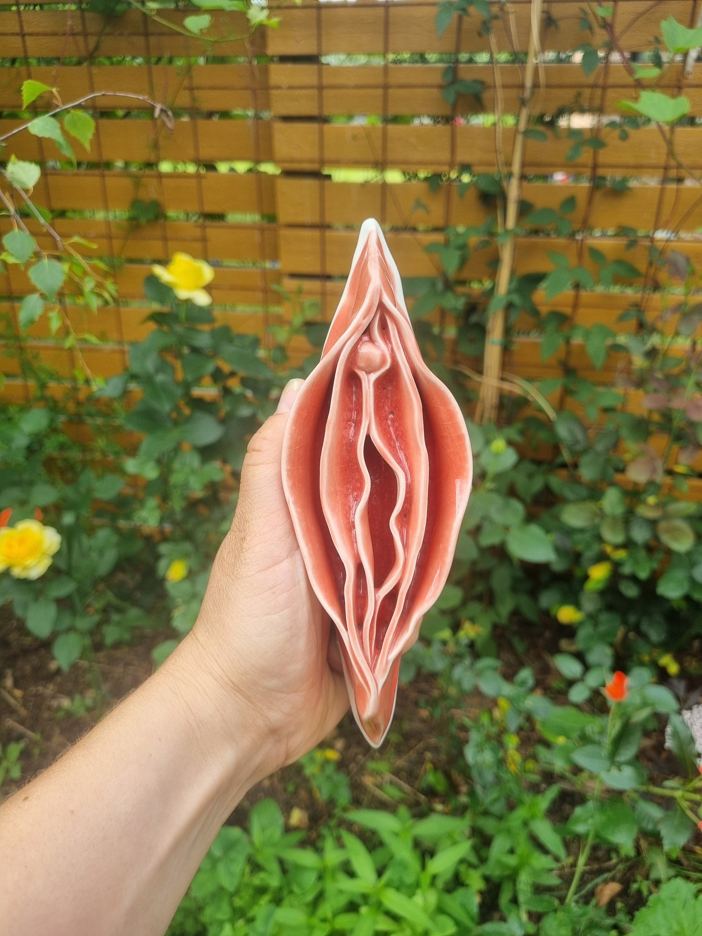 Peachy keramikkusse
